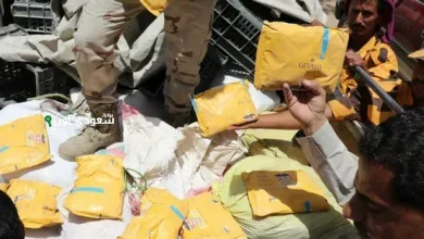 الأمن اليمني في لحج ينجح في إحباط عملية تهريب نصف طن من الحشيش المخدر