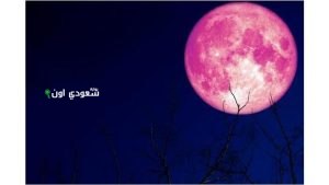 قمر الفراولة يظهر في سماء السعودية