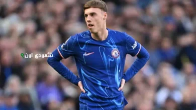 كول بالمر