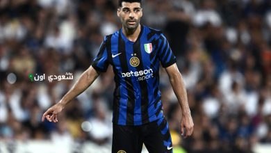 مهدي طارمي