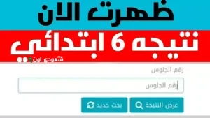 نتيجة الصف السادس الابتدائي برقم الجلوس والاسم