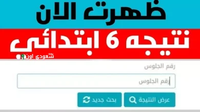 نتيجة الصف السادس الابتدائي برقم الجلوس والاسم