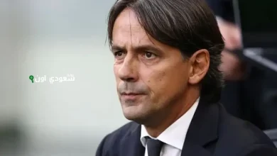 إنزاجي