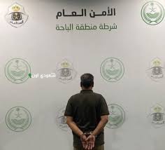 الأمن العام