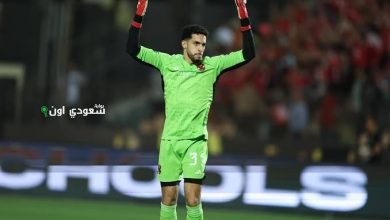 مصطفى شوبير