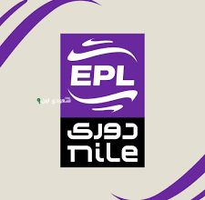 الأندية المصرية المحترفة