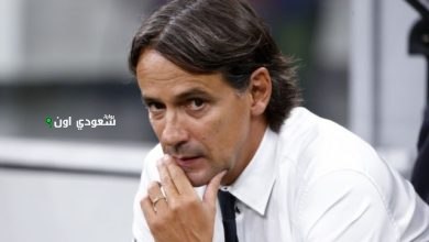 سيموني إنزاجي