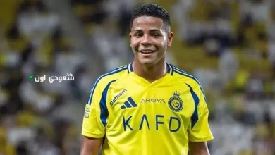 ويسيلي