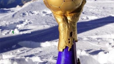 كأس العالم لكرة اليد