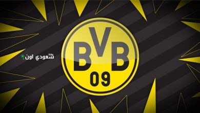 نادي بوروسيا دورتموند