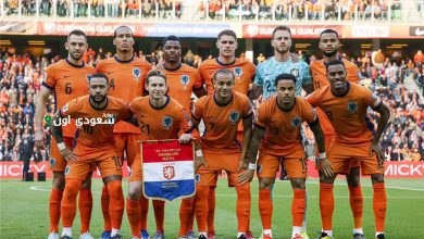 هولندا ومالطا تشكيل فريق الطواحين في تصفيات كأس العالم المقبلة وتأثيره على المنافسة
