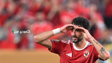 وسام أبو علي