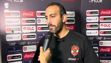 الدكتور أحمد جاب الله