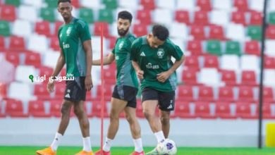 الشنقيطي وآل سعد