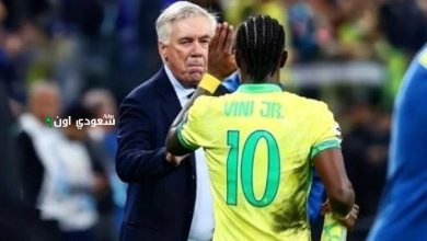 فينيسيوس جونيور