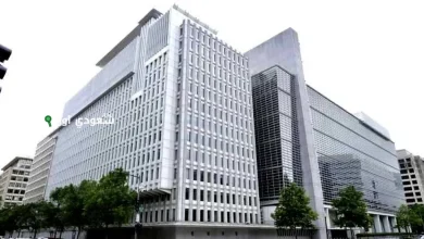 البنك الدولي تراجع كبير في استثمارات الدول النامية