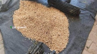 الداخلية تعلن إحباط تهريب 200 ألف قرص أمفيتامين بالتنسيق مع السلطات السورية