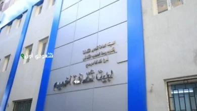 بيت ثقافة أخميم