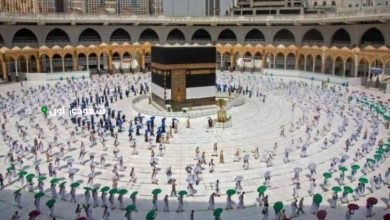 المربع يستعرض الخدمات المقدمة لضيوف الرحمن
