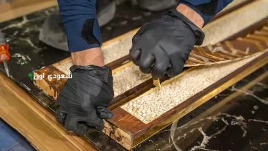 احباط تهريب 732015 حبة أمفيتامين