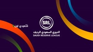 دوري الرديف