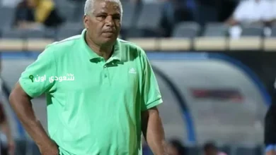 ميمي عبد الرازق