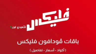 أجدد باقات فودافون فلیکس الشهرية 2025