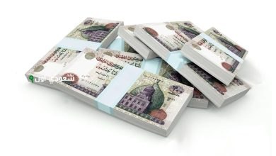 أحسن شهادة ادخار تقدر تشتريها من البنك الأهلي