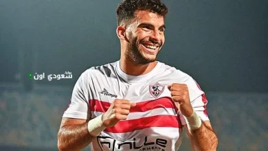 أحمد مصطفى زيزو