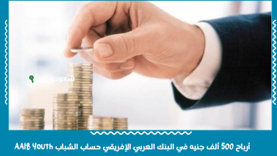 أرباح 500 ألف جنيه في البنك العربي الإفريقي حساب الشباب AAIB Youth