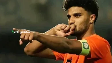 أسامة فيصل