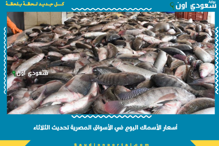 أسعار الأسماك اليوم في الأسواق المصرية تحديث الثلاثاء