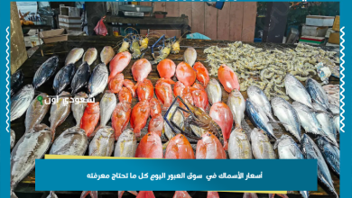 أسعار الأسماك في  سوق العبور اليوم كل ما تحتاج معرفته