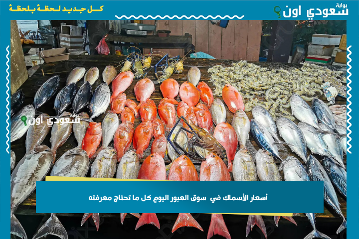 البوري بكام؟ أسعار الأسماك في سوق العبور اليوم كل ما تحتاج معرفته عن سوق المأكولات البحرية