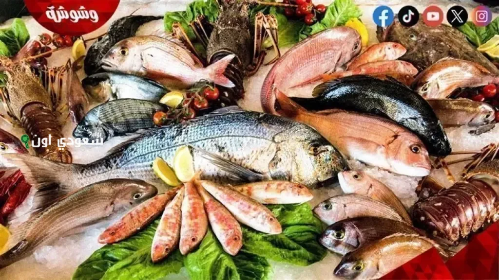 أسعار الأسماك في مصر اليوم مع توقعات ارتفاع الأسعار خلال الأسبوع بسبب الطلب المتزايد