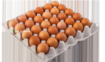 أسعار البيض اليوم في