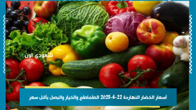 أسعار الخضار النهاردة 22-6-2025 الطماطم والخيار والبصل بأقل سعر