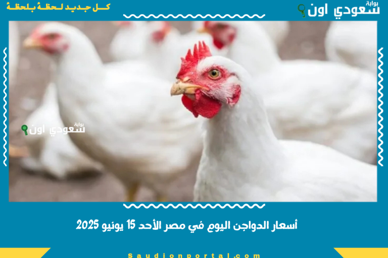 أسعار الدواجن اليوم في مصر الأحد 15 يونيو 2025