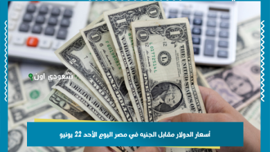 أسعار الدولار مقابل الجنيه في مصر اليوم الأحد 22 يونيو