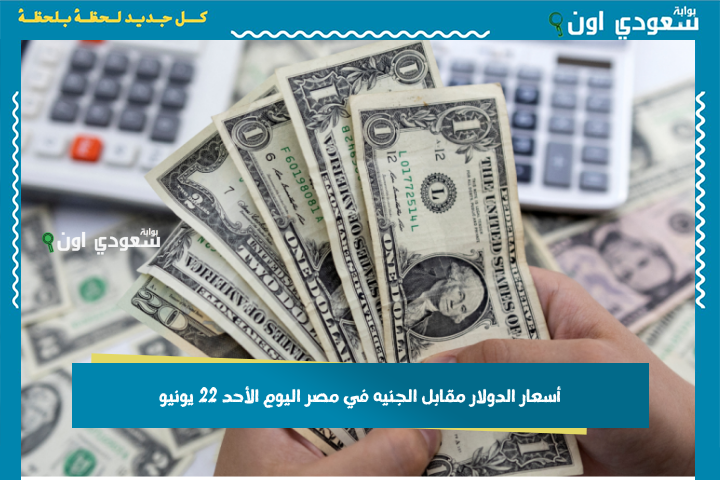 أحدث أسعار الدولار مقابل الجنيه في مصر اليوم الأحد 22 يونيو.. أسعار التداولات الصباحية والمسائية مدعومة بتحديثات البنوك