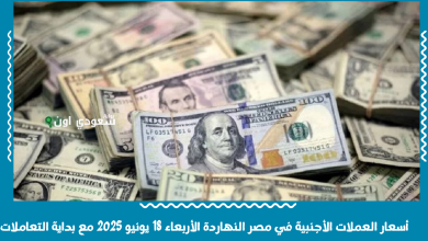أسعار العملات الأجنبية في مصر النهاردة الأربعاء 18 يونيو 2025 مع بداية التعاملات