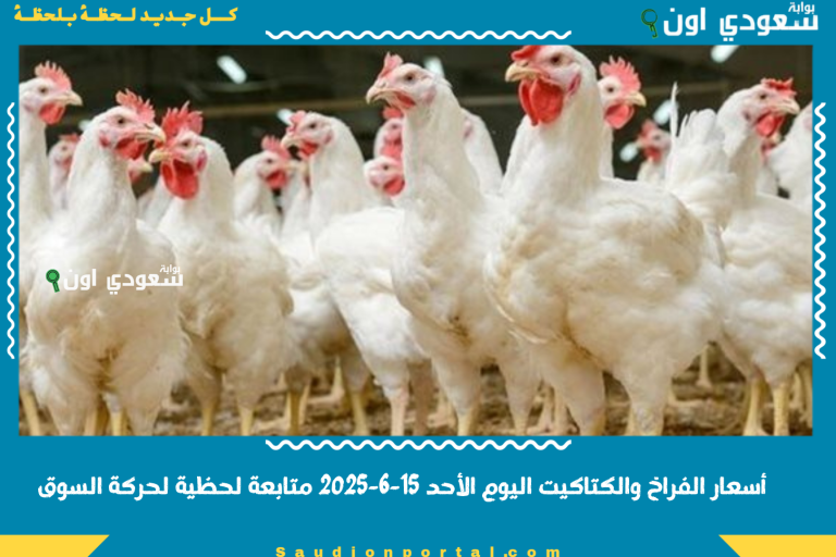 أسعار الفراخ والكتاكيت اليوم الأحد 15-6-2025 متابعة لحظية لحركة السوق