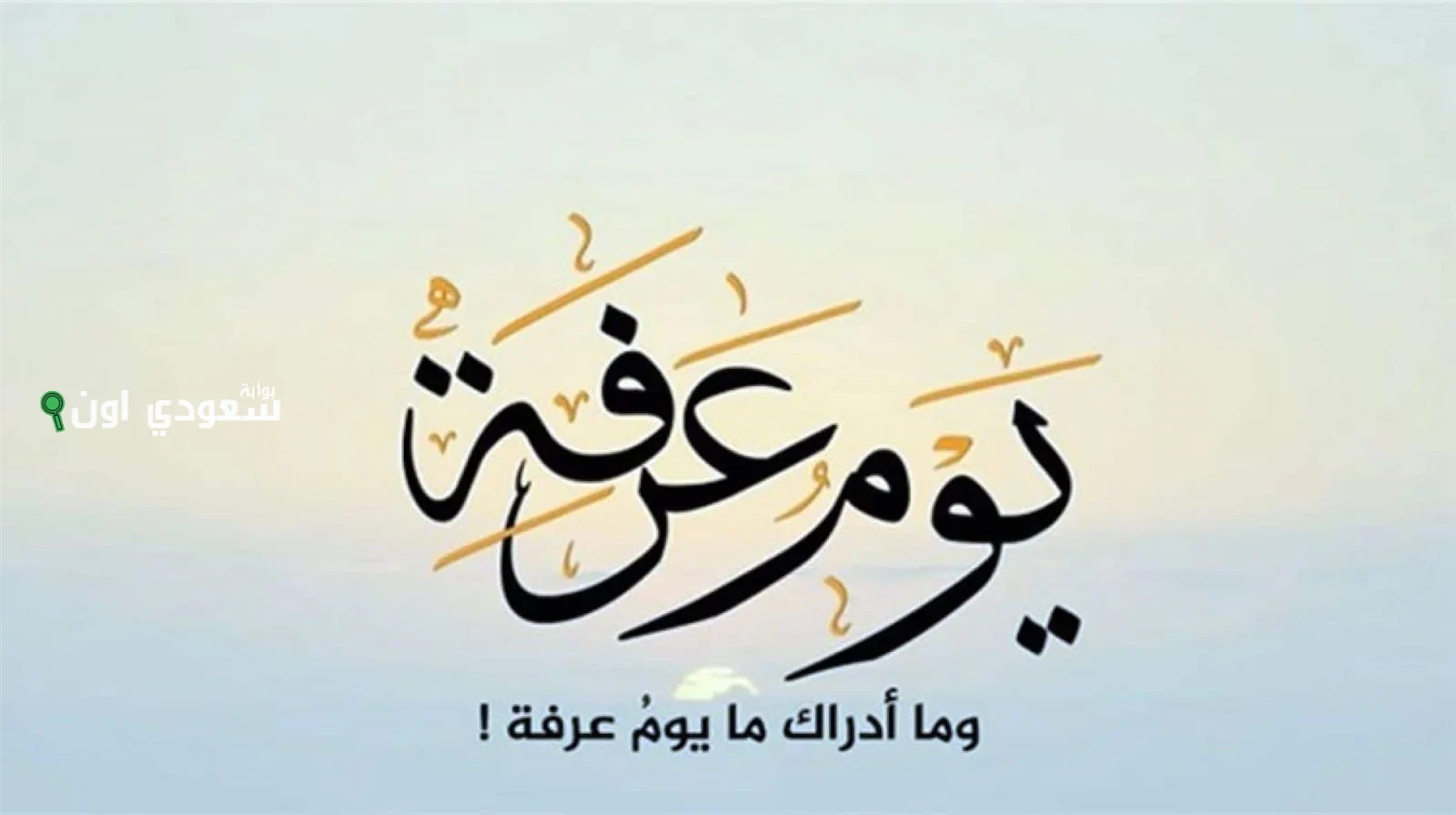  أفضل أدعية يوم عرفة من الكتاب والسنة