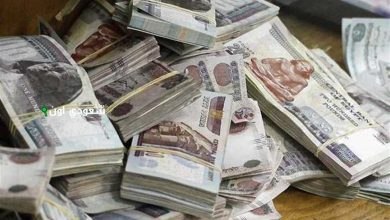 أفضل شهادات الادخار في البنوك المصرية بتوصيات الخبراء