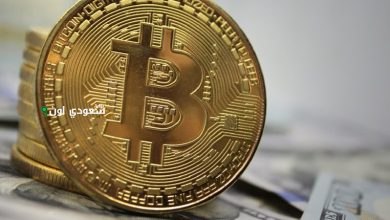 إليك دليل المبتدئين للاستثمار في البيتكوين و الاثيريوم