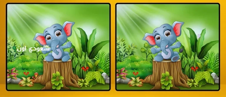 اختبر قوة ملاحظتك وأوجد الاختلافات بين الصورتين خلال 10 ثواني فقط