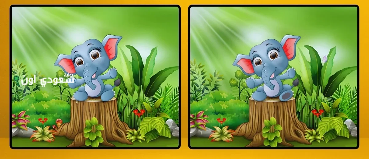 اختبر قوة ملاحظتك وأوجد الاختلافات بين الصورتين خلال 10 ثواني فقط