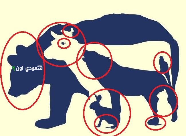 استخرج الحيوانات المختبئة في هذه الصور في أقل من 30 ثانية