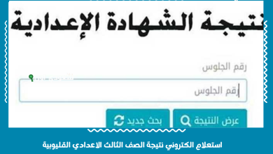 استعلام الكتروني نتيجة الصف الثالث الاعدادي القليوبية .