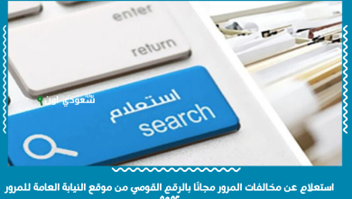 استعلام عن مخالفات المرور مجانًا بالرقم القومي من موقع النيابة العامة للمرور 2025